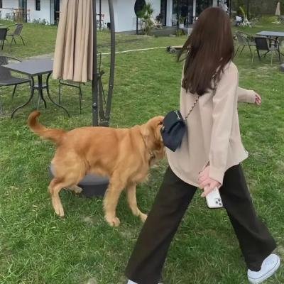 鲁卜哈利沙漠:非洲的女人